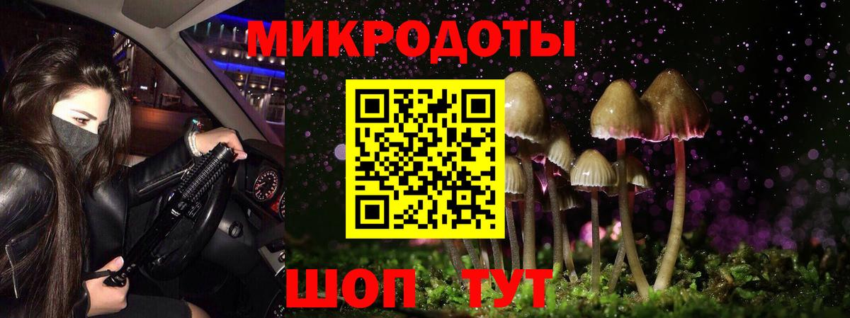 Псилоцибиновые грибы Psilocybe  Вход с VPN  Каменск-Шахтинский 
